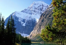 2026世界杯竞猜-这么搭配底板和胶皮(pí)是错的，业餘(yú)乒乓球选手必看！