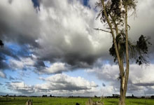 世界杯平台-闪评｜俄美乌新一轮会谈举行 欧盟重金援乌传递哪些信号？