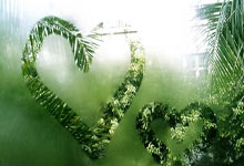 世界杯-吉林长白山恩都里主场83-72战胜江苏肯帝亚