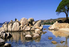 世界杯竞猜-胖虎接班人！曼联已接触托纳利经纪人谈判转会 球员愿加盟曼城