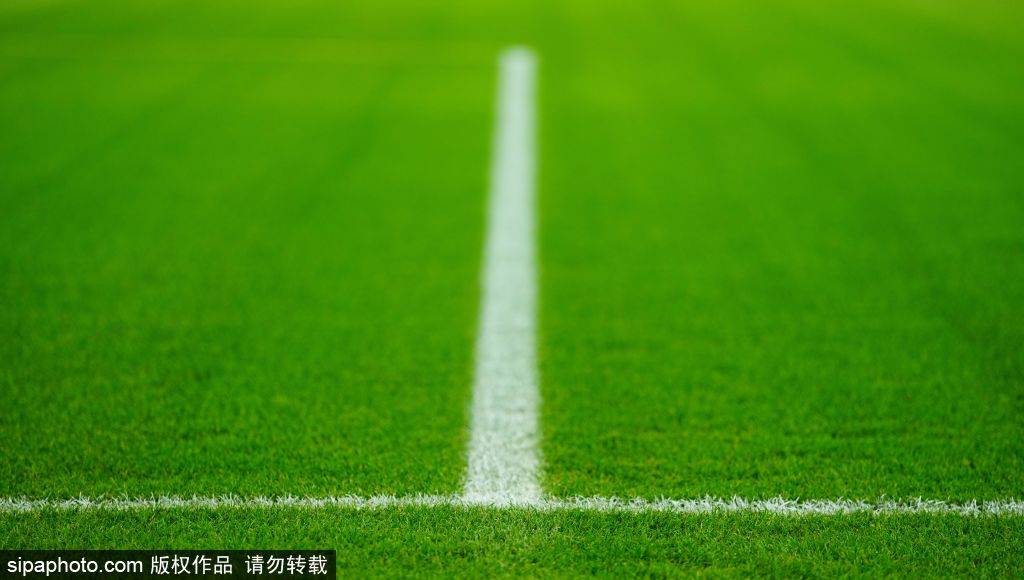 转会传闻，新闻：阿森纳盯上法兰克福的巴霍亚